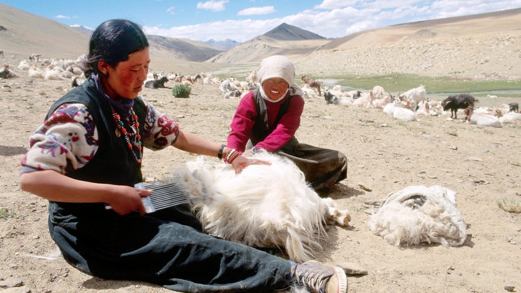 What is cashmere made of?
